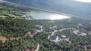Drone / aerial view with a wooded view and a water and mountain view