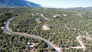 Bird's eye view with a forest view and a mountain view