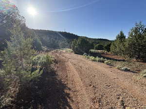 View of road featuring a view of trees