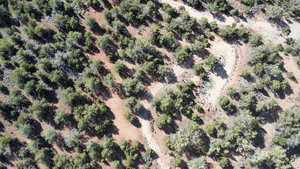 Drone / aerial view with a rural view and view of desert