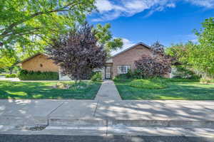 Obstructed view of property featuring a front lawn and brick siding