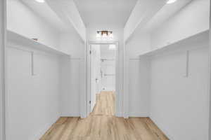 Spacious closet featuring light wood finished floors