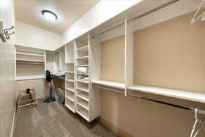 Spacious closet featuring carpet floors