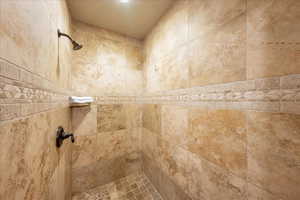Interior details with tiled shower