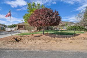View of property hidden behind natural elements with an attached garage, driveway, a front yard, and fence