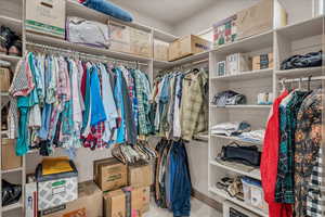 Spacious closet featuring carpet flooring