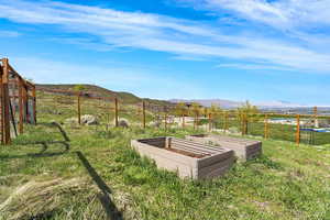 View of yard with a rural view, a vegetable garden, about 10 fruit trees!