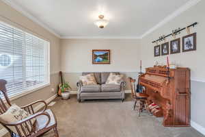 Sitting room with baseboards, visible vents, ornamental molding, and carpet floors