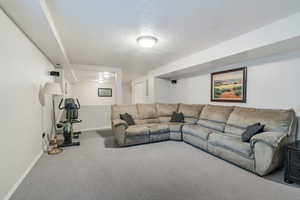 Living room featuring baseboards, a textured ceiling, and carpet