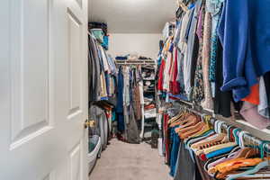 Spacious closet featuring carpet flooring