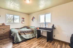 Bedroom with baseboards, wood finished floors, and multiple windows