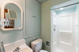 Full bathroom with a shower stall, toilet, and a sink