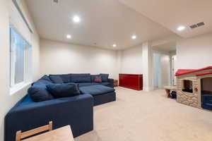 Lovely family room in basement