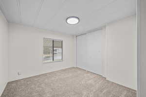 Empty room featuring carpet floors