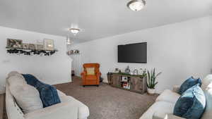 Living room featuring carpet flooring and baseboards