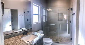 Full bathroom featuring a shower stall, a wealth of natural light, toilet, and vanity