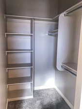Spacious closet with carpet floors
