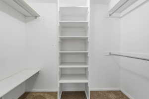 Spacious closet with carpet flooring