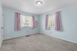 Carpeted empty room with baseboards, visible vents, and a textured ceiling