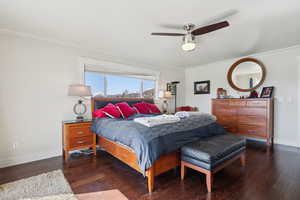 Bedroom featuring baseboards, dark wood finished floors, and crown molding