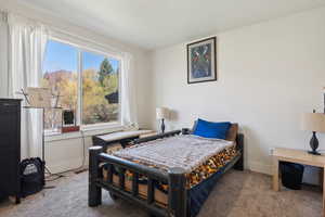 Carpeted bedroom featuring baseboards and multiple windows