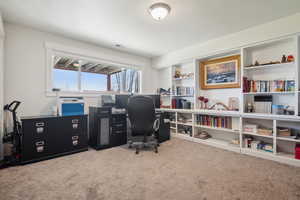 Office area featuring visible vents and carpet