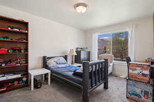 Bedroom with light colored carpet