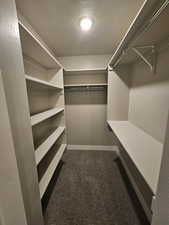 Spacious closet with carpet