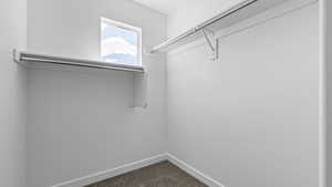 Spacious closet featuring dark carpet