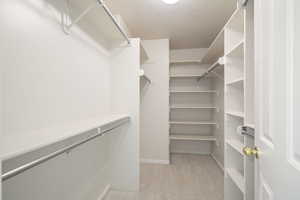 Primary bedroom walk-in closet, ample storage, with built-ins