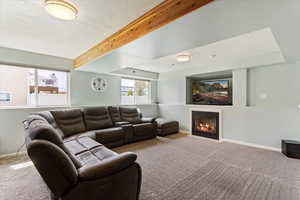 Basement Living Room