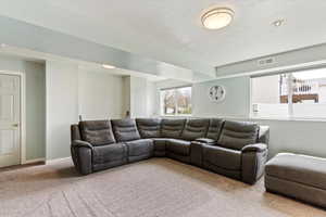 Basement Living Room