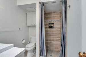 Full bathroom featuring toilet, vanity, and a stall shower