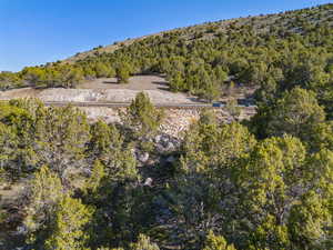 Aerial view of property and surrounding area with a forest