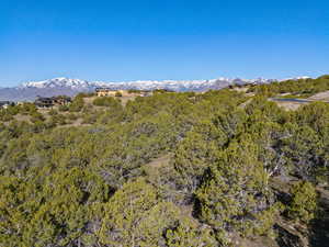 Property view of mountains with a wooded view