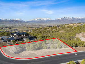 Aerial view with a mountain view