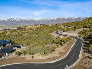 Property view of mountains