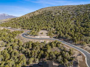 Drone / aerial view with a mountain view and a view of trees