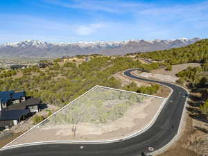 Aerial view of property's location with property parcel outlined and a mountainous background