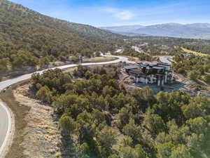 Birds eye view of property with a view of trees and a mountain view