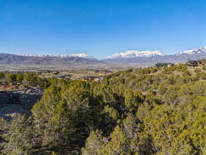 View of mountain feature with a view of trees