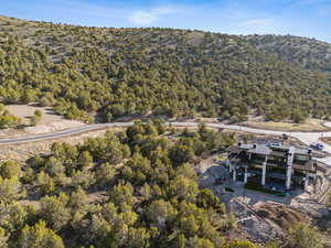Bird's eye view featuring a view of trees