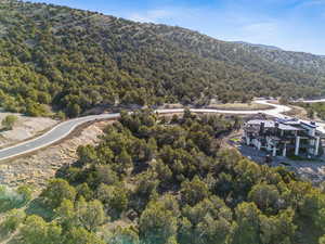 Aerial view featuring a mountain view and a view of trees