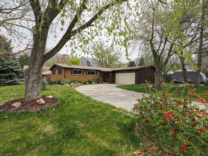 Ranch-style home featuring an attached garage, brick siding, a front yard, and concrete driveway