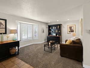 Living area featuring baseboards, carpet flooring, a textured ceiling, and recessed lighting