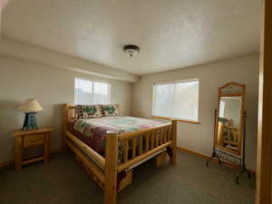 Carpeted bedroom with baseboards and a textured ceiling