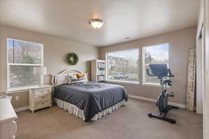 Bedroom featuring light carpet, visible vents, and baseboards