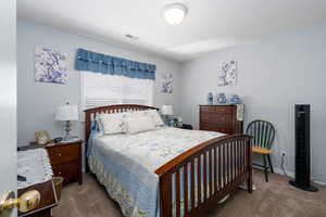 Carpeted bedroom featuring visible vents and baseboards
