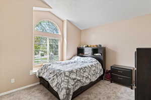 Bedroom featuring vaulted ceiling, carpet flooring, and baseboards