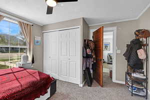 Carpeted bedroom featuring a ceiling fan, a textured ceiling, a closet, and crown molding
